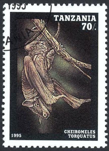 Fledermaus-Briefmarkenset Tansania Detail